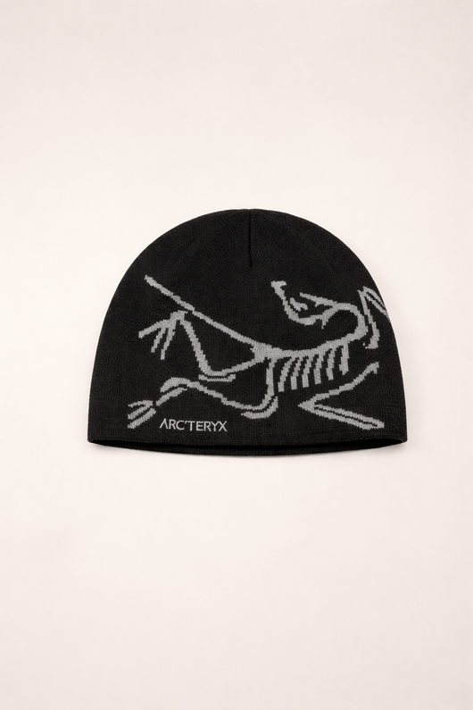 ARC Beanie
