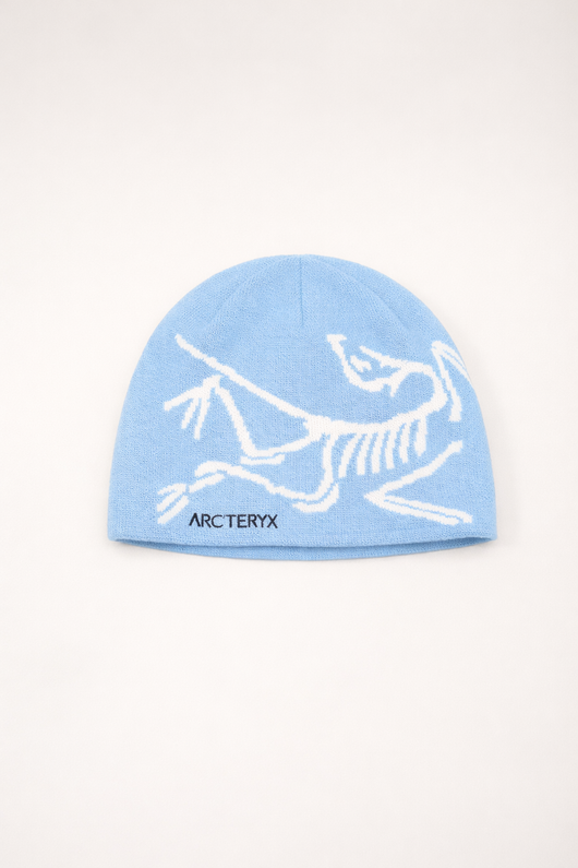 ARC Beanie