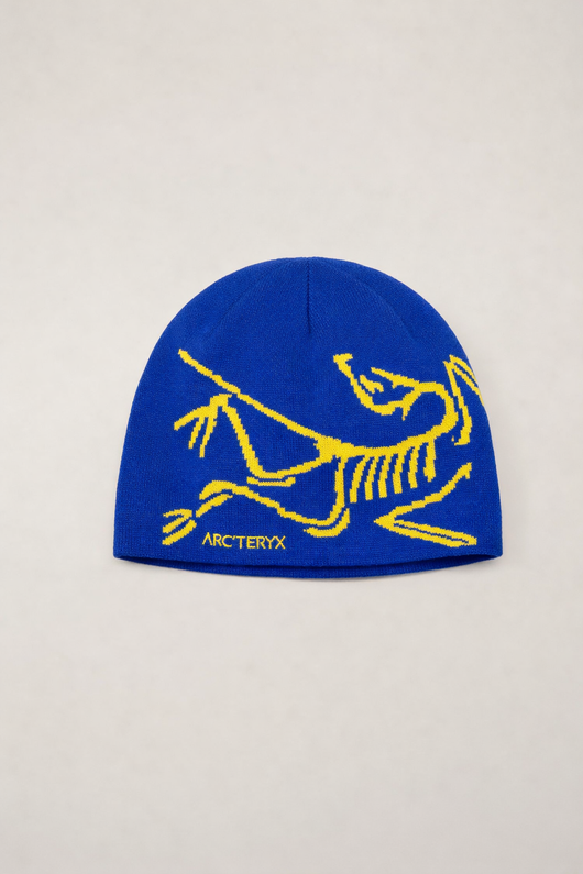 ARC Beanie