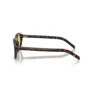 Northvine PR Sunglasses